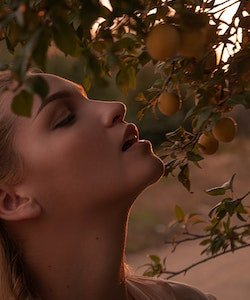 apricot for women health