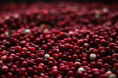 Discovering the Health Benefits of Cranberry