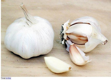 Garlic