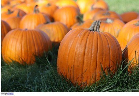 10 health benefits of pumpkin