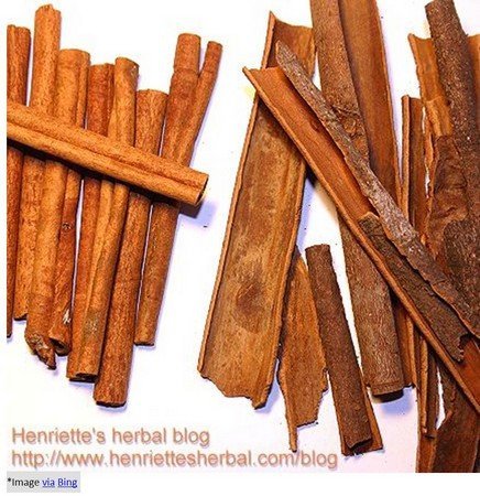 Health Benefits of Cinnamon