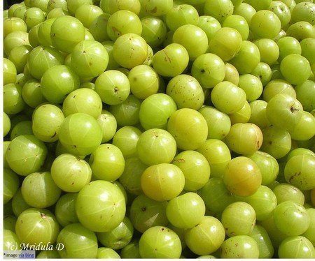 Indian Gooseberry (Amla)