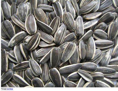 Amazing Health Benefits of Sunflower Seeds