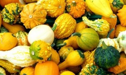 Colored Fruits and Vegetables for Good Health