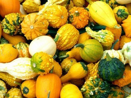 Colored Fruits and Vegetables for Good Health