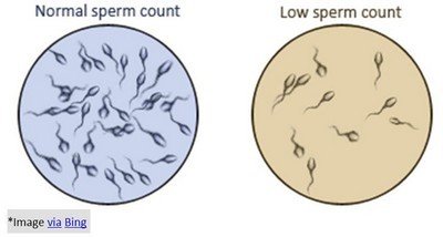 Low sperm count