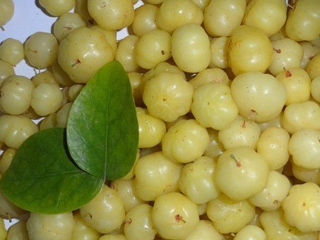 amla