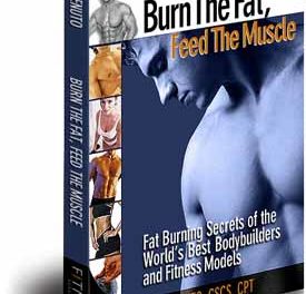 Burn the Fat Lose Weight
