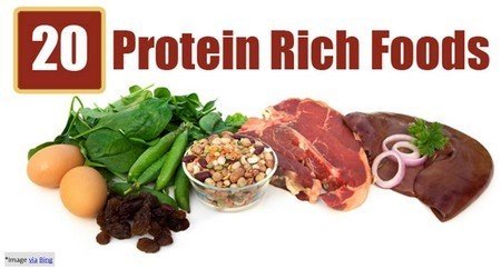 foods rich in protein