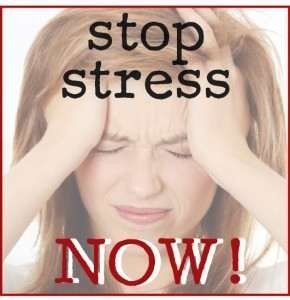 stop_stress_now_button_large-05-290x300-290x300