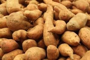 Top 10 Root Vegetables