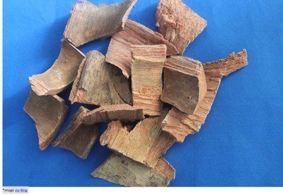 Health Benefits of Arjuna Bark