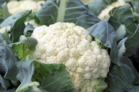 Cauliflower