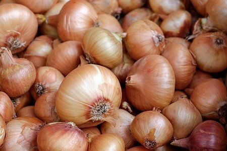 15 Amazing Healing Powers of Onions