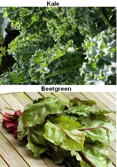 Kale-Beetgreen