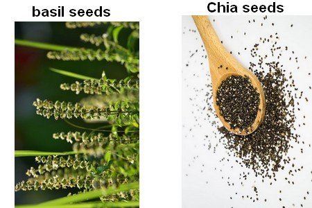 chia seeds and basil seeds
