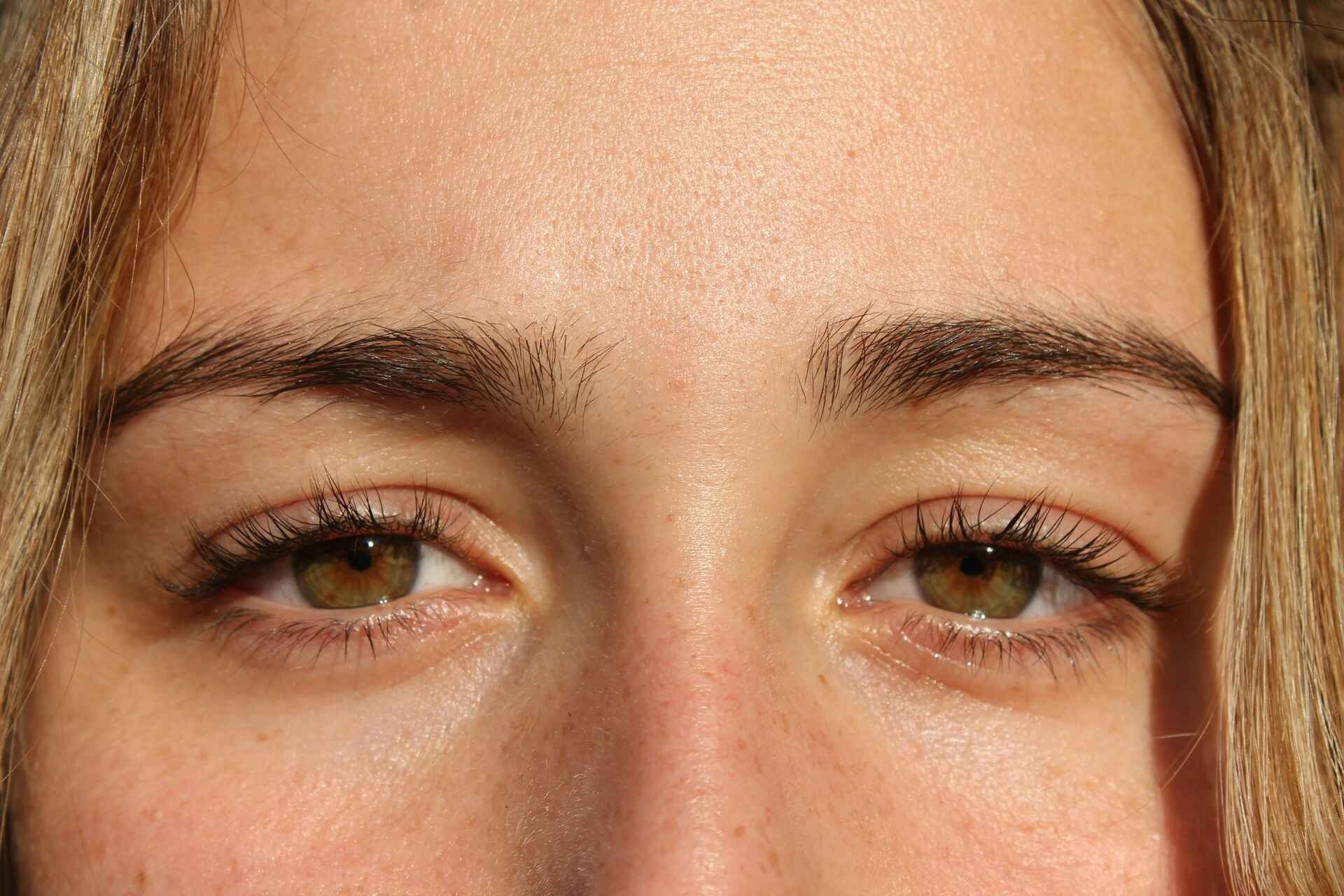 Grow Thick Eyebrows