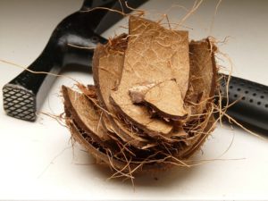 Treat hair fall with coconut shells