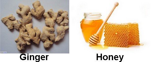 ginger and honey