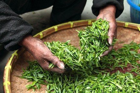 Green Leaves Tea