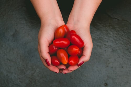 tomatoes