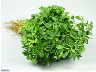 Fenugreek-Leaves