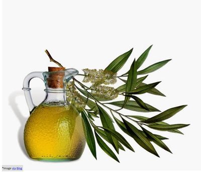 Tea-tree-oil