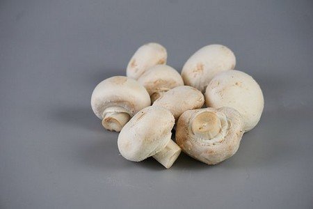 Types of Mushrooms, Nutritional Value, and Health Benefits