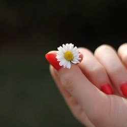 Natural Remedies for Strong and Beautiful Nails