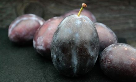 5 Benefits of Jamun that Make it an Awesome Fruit