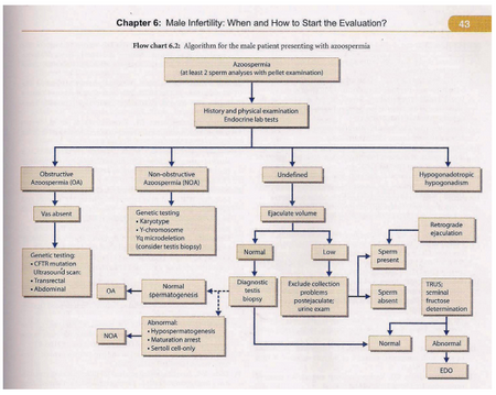 Men infertility