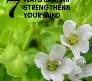 8 fabulous health benefits of Brahmi to strengthen your mind
