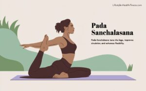 Pada Sanchalasana (Bicycling Pose)