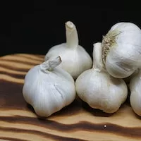 Extract the health benefits of garlic for your body!